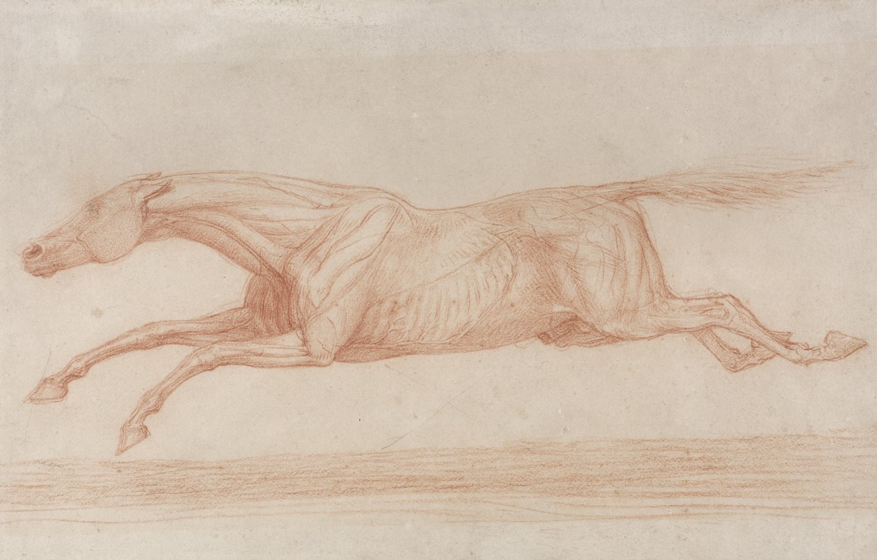 Versenyló tanulmányozása akcióban: balra vágtatva (piros kréta sima papíron) alkotó: George Stubbs