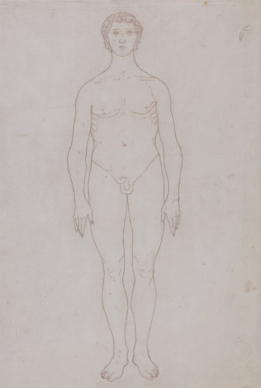 Az emberi alak tanulmányozása, elölnézet (Vázlati rajz a VI. táblázathoz) alkotó: George Stubbs