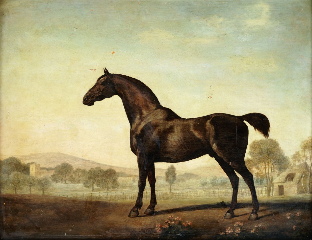 Sweetwilliam", egy Bay Racehorse, egy karámban, 1779 alkotó: George Stubbs