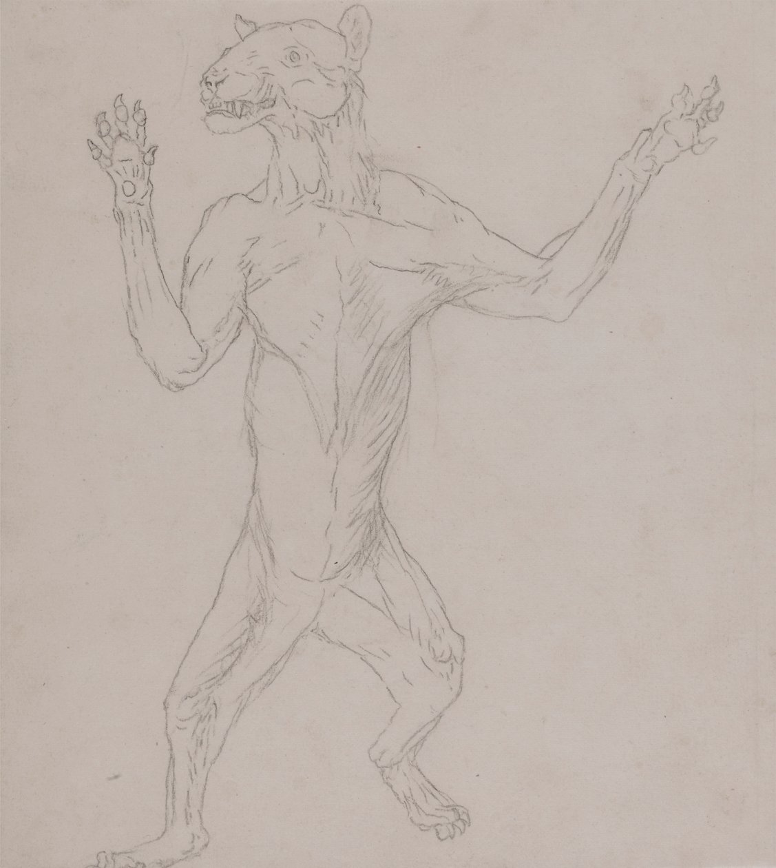 Tigris test, emberi testtartásban állva alkotó: George Stubbs