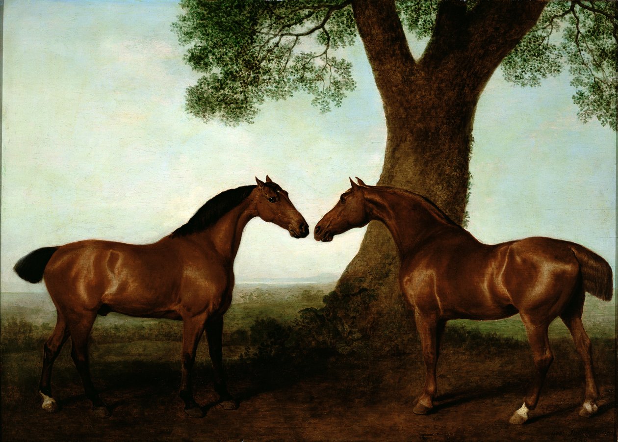 Két Bay Hunters egy fa mellett, 1786 alkotó: George Stubbs