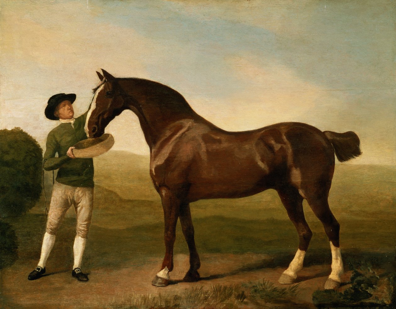 Ismeretlen kép alkotó: George Stubbs