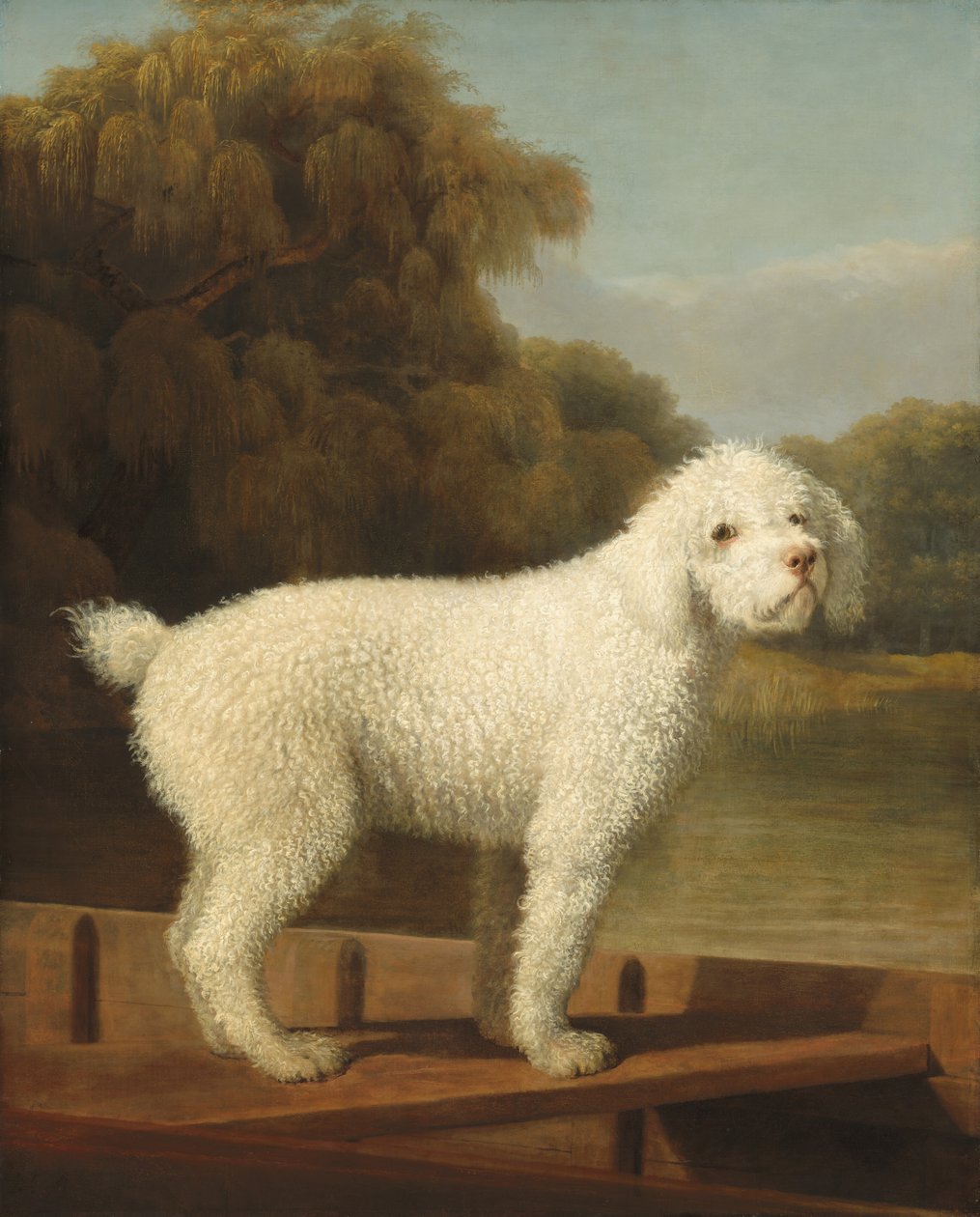 Fehér uszkár egy puntban alkotó: George Stubbs