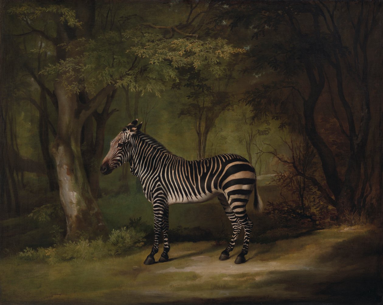 Zebra alkotó: George Stubbs