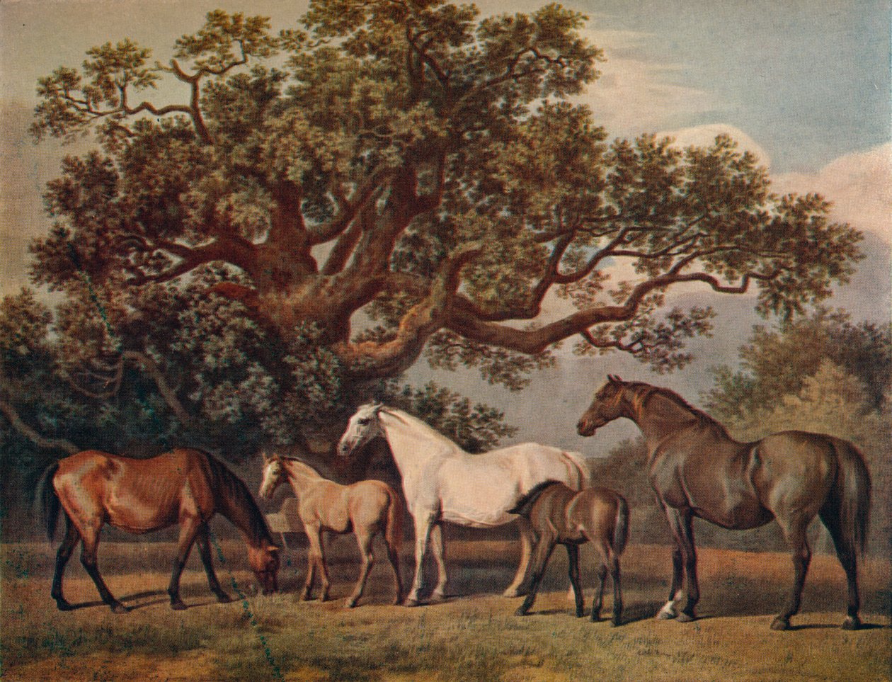 Brood Kancák és csikók, 18. század vége, 1922 alkotó: George Townley Stubbs