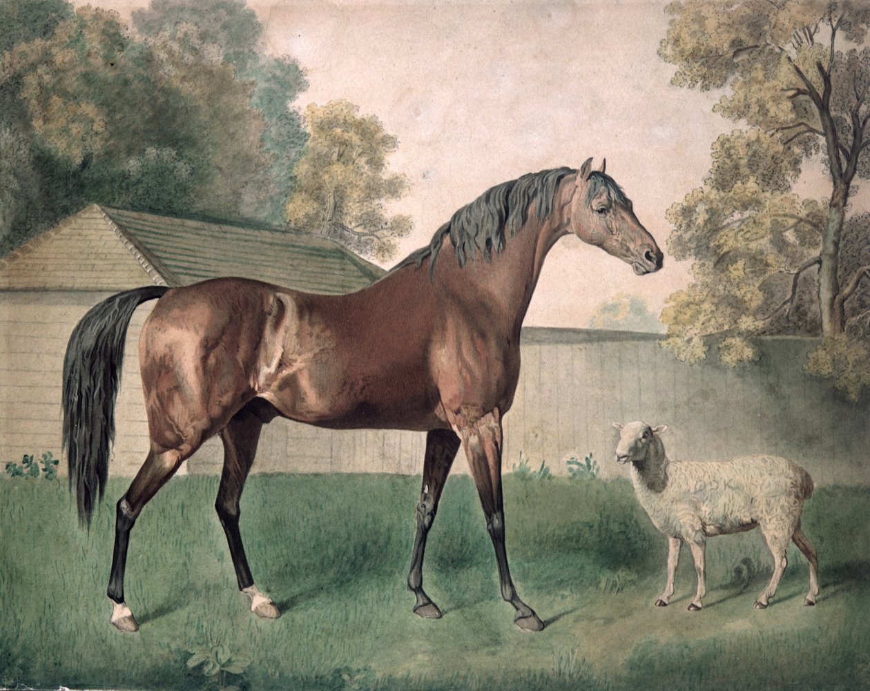 "Dungannon" (akvarell papíron) alkotó: George Townley Stubbs