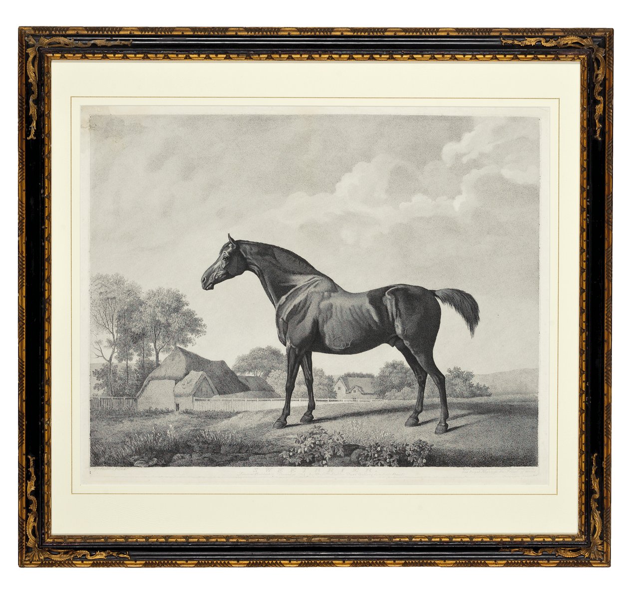 Sweetbrier (stipple gravírozás) alkotó: George Townley Stubbs