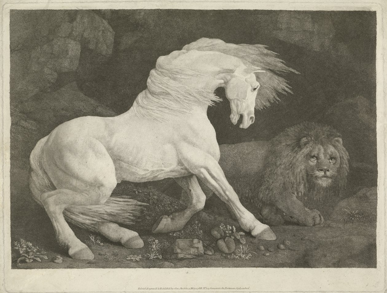 A ló és az oroszlán, 1770 (mezzotinta) alkotó: George Townley Stubbs