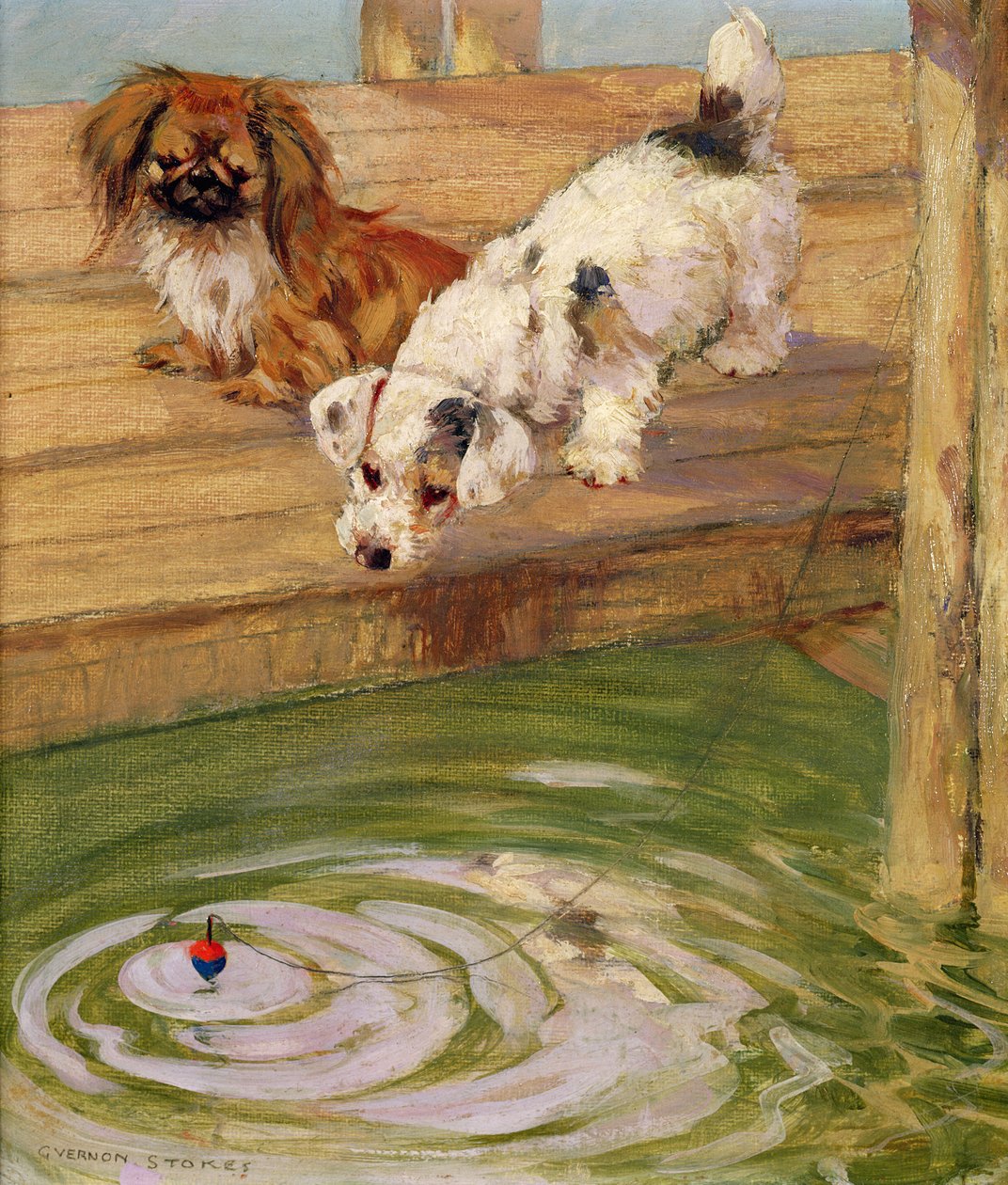 Egy Peke és egy terrier alkotó: George Vernon Stokes