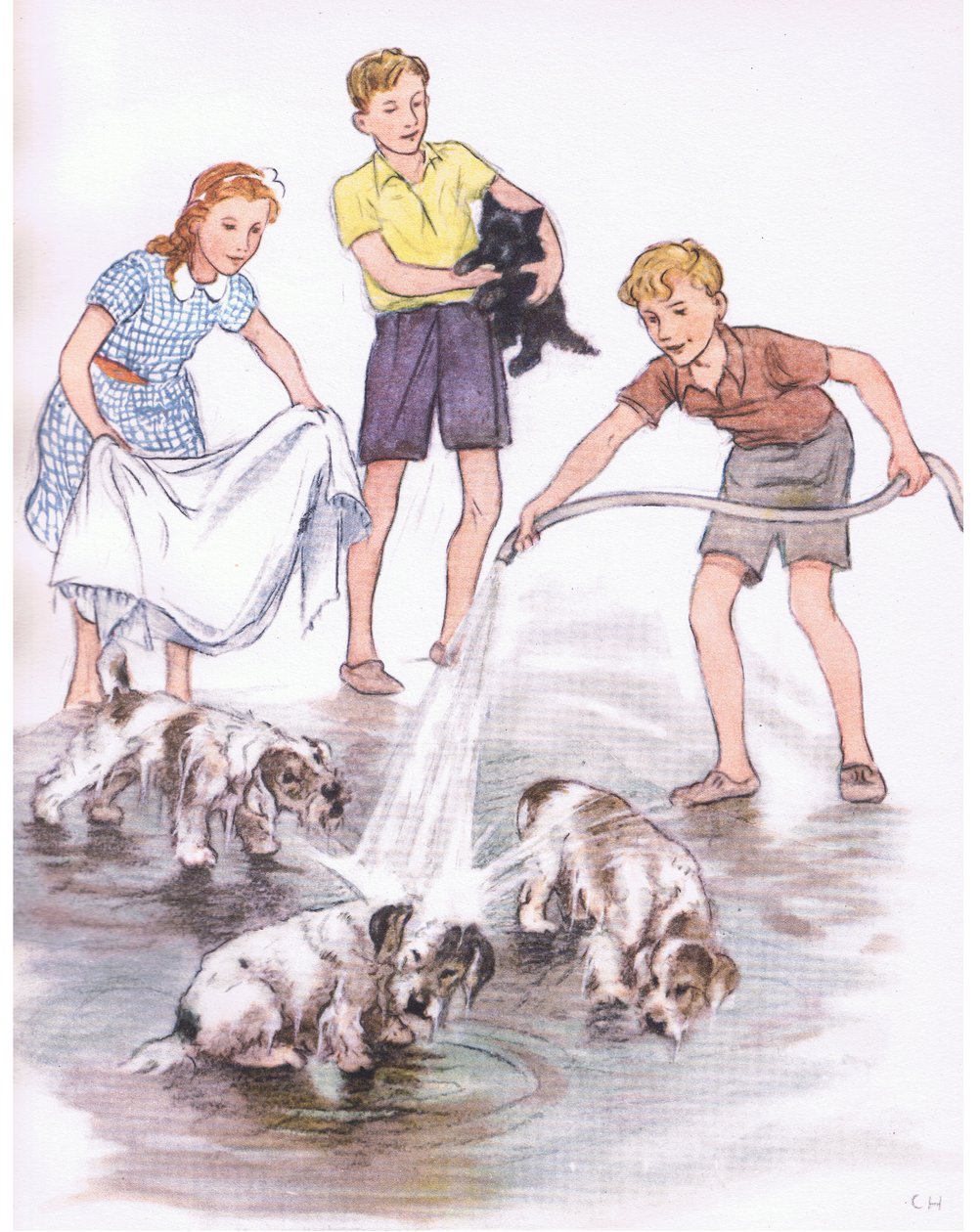 A kutyák mosása, a Collins által kiadott Pets Limited kiadványból alkotó: George Vernon Stokes