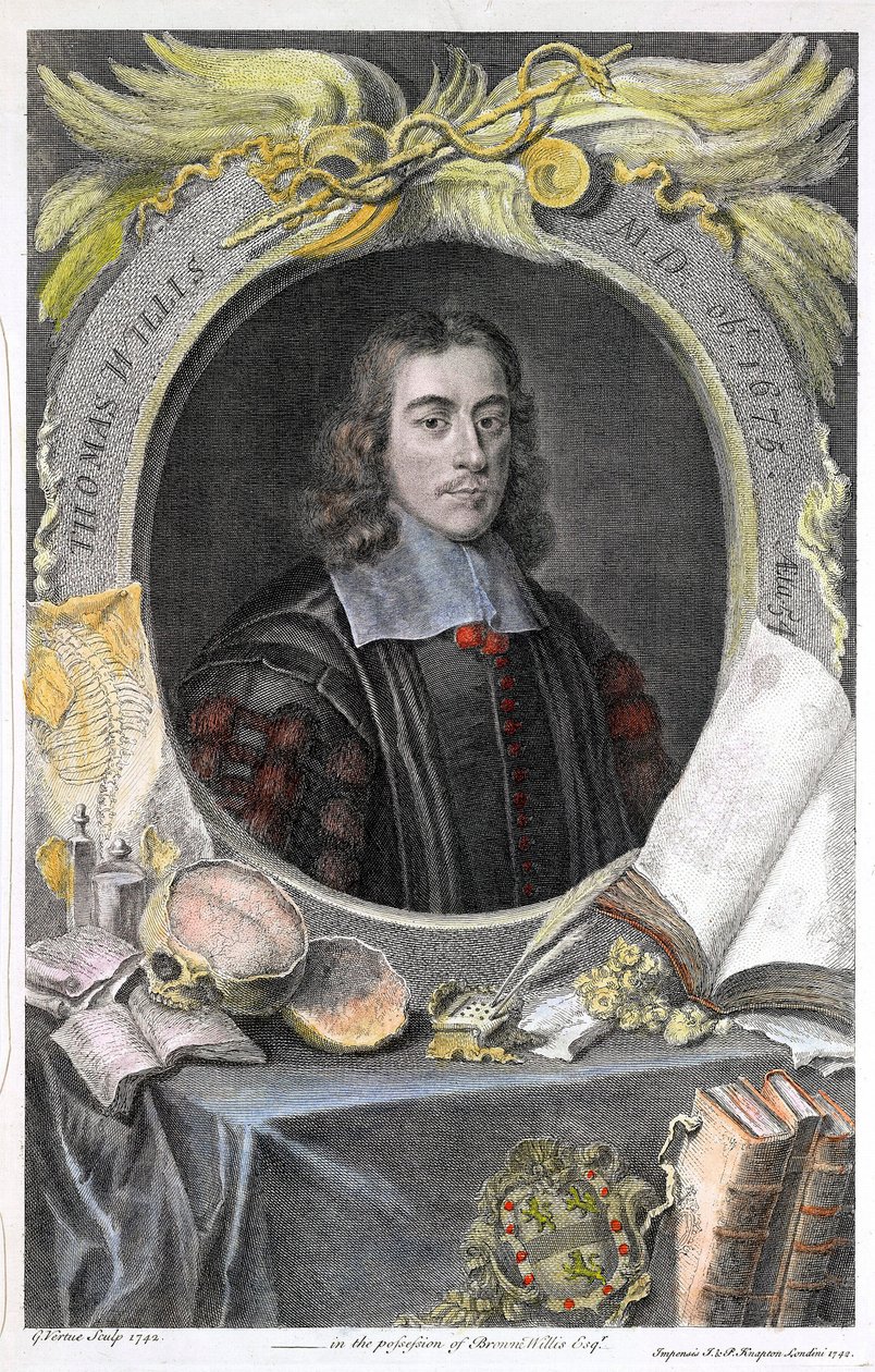 Portrait du medecin anglais Thomas Willis (1622-1675).Thomas Willis (1621-1675) angol orvos.George Vertue angol grafikus kézzel színezett metszete. ©UIG/Leemage alkotó: George Vertue