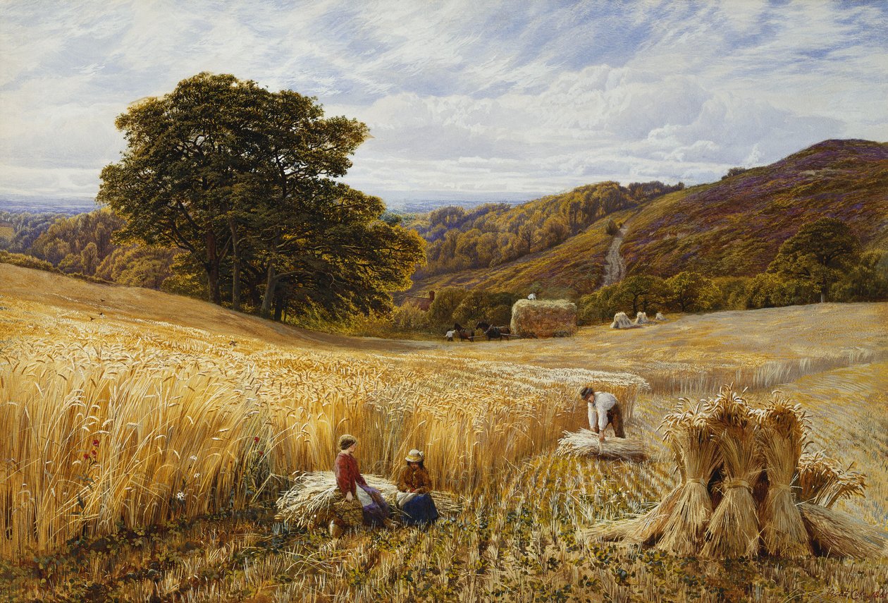 Betakarítási idő Holmbury Hill közelében, Surrey alkotó: George Vicat Cole