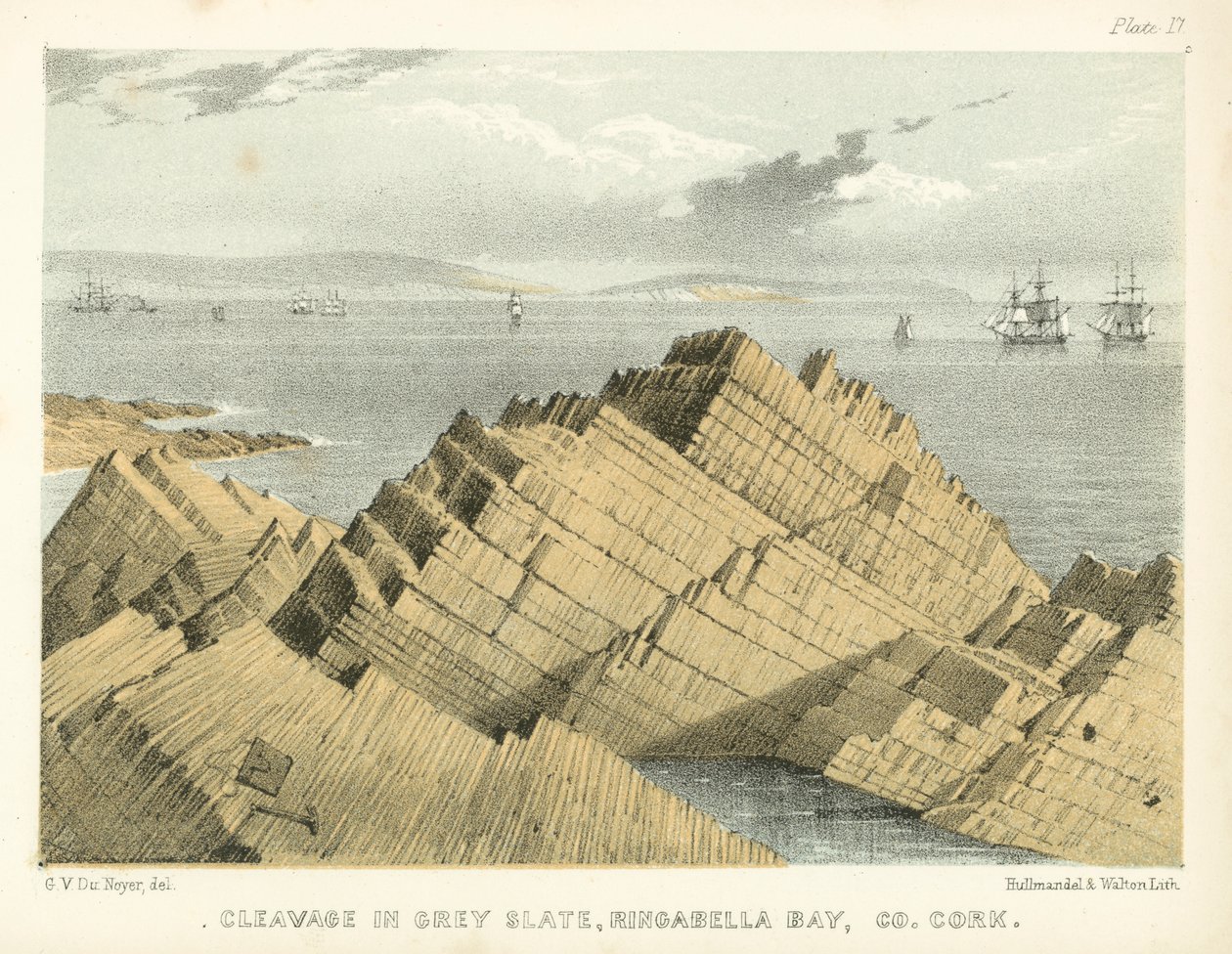 Hasadék szürke pala, Ringabella Bay, Co Cork (színes metszet) alkotó: George Victor Du Noyer