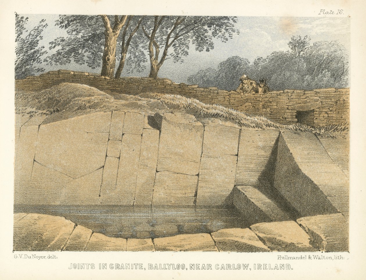 Fugák gránitban, Ballyloo, Carlow közelében, Írország (színes metszet) alkotó: George Victor Du Noyer