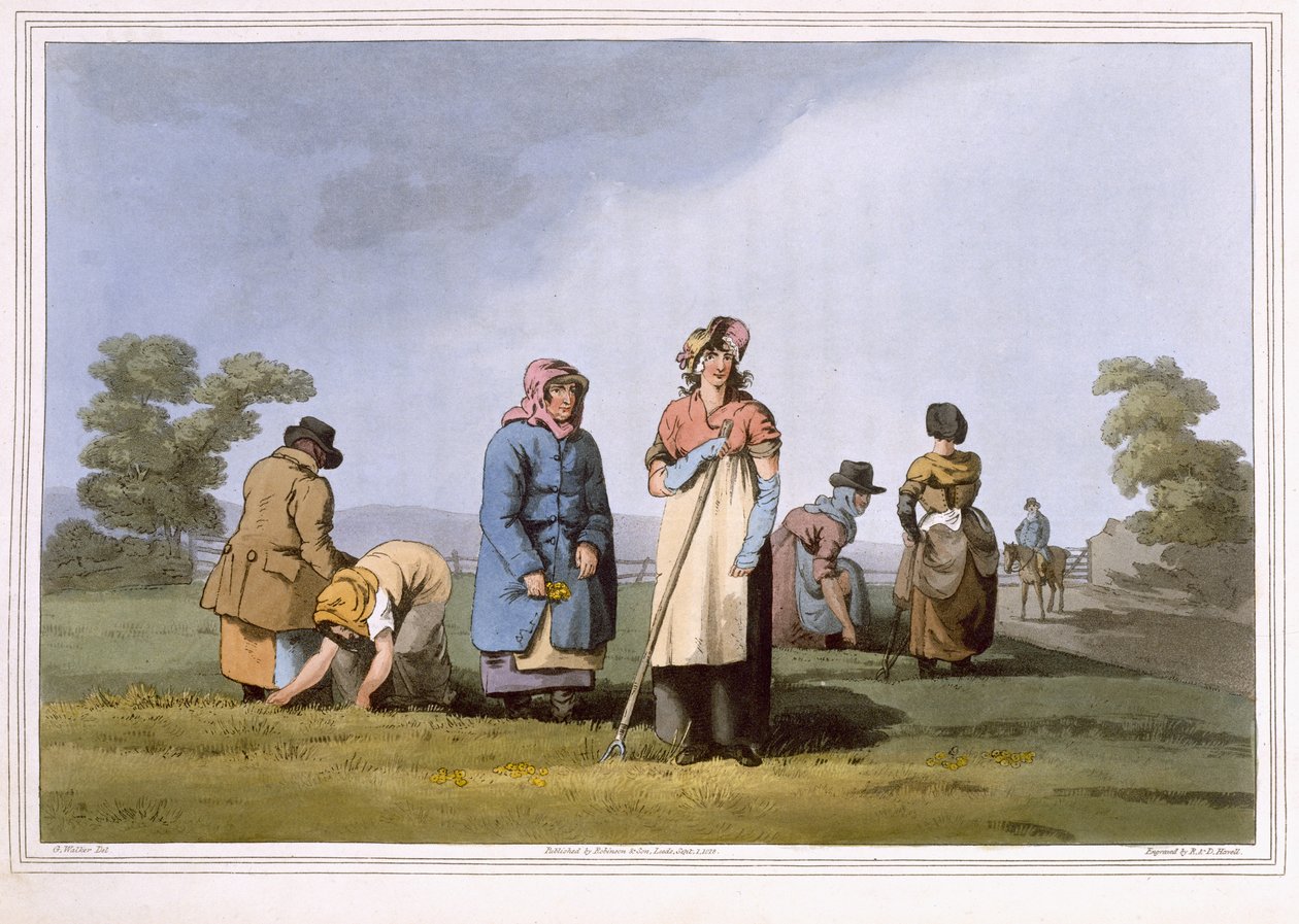 Lowkers, metszette Robert Havell the Elder, kiadó: Robinson and Son, Leeds, 1814. alkotó: George Walker