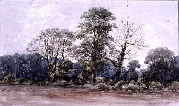 Fák a Birmingham melletti Perry bárban, 19. század alkotó: George Augustus Wallis