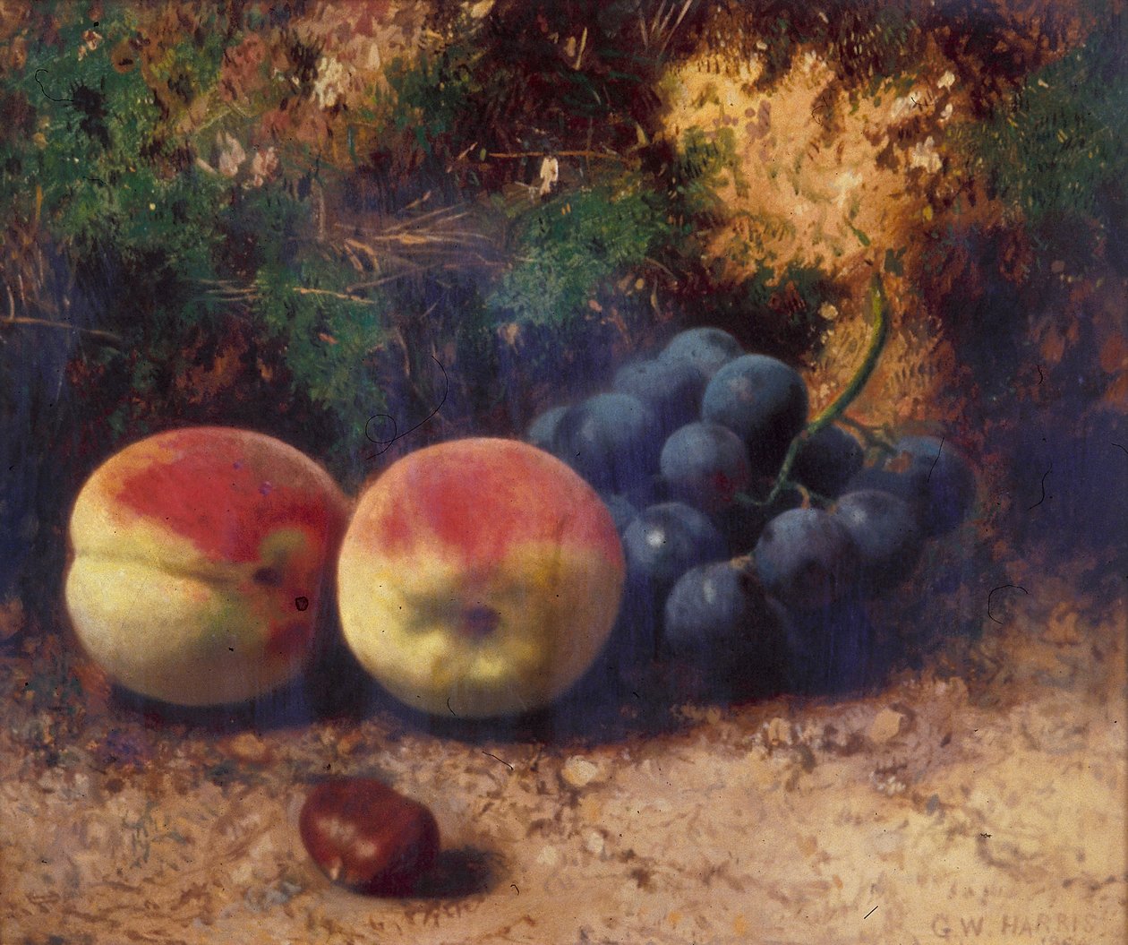 „Őszibarack és szőlő”, 1864 alkotó: George Walter Harris