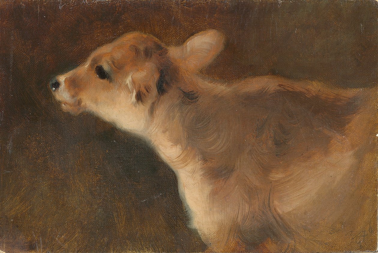 Borjú, 1879 (olaj, vászon a fedélzeten) alkotó: George Wiliam Horlor