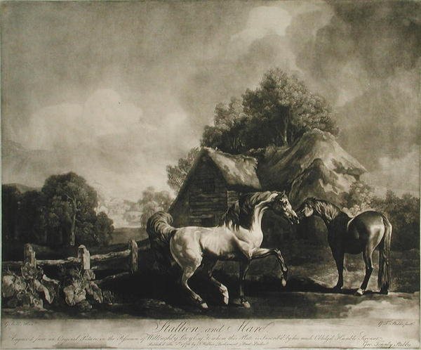 Mén és kanca, vésette George Townley Stubbs (1756-1815) 1776 (mezzotint) alkotó: George after Stubbs