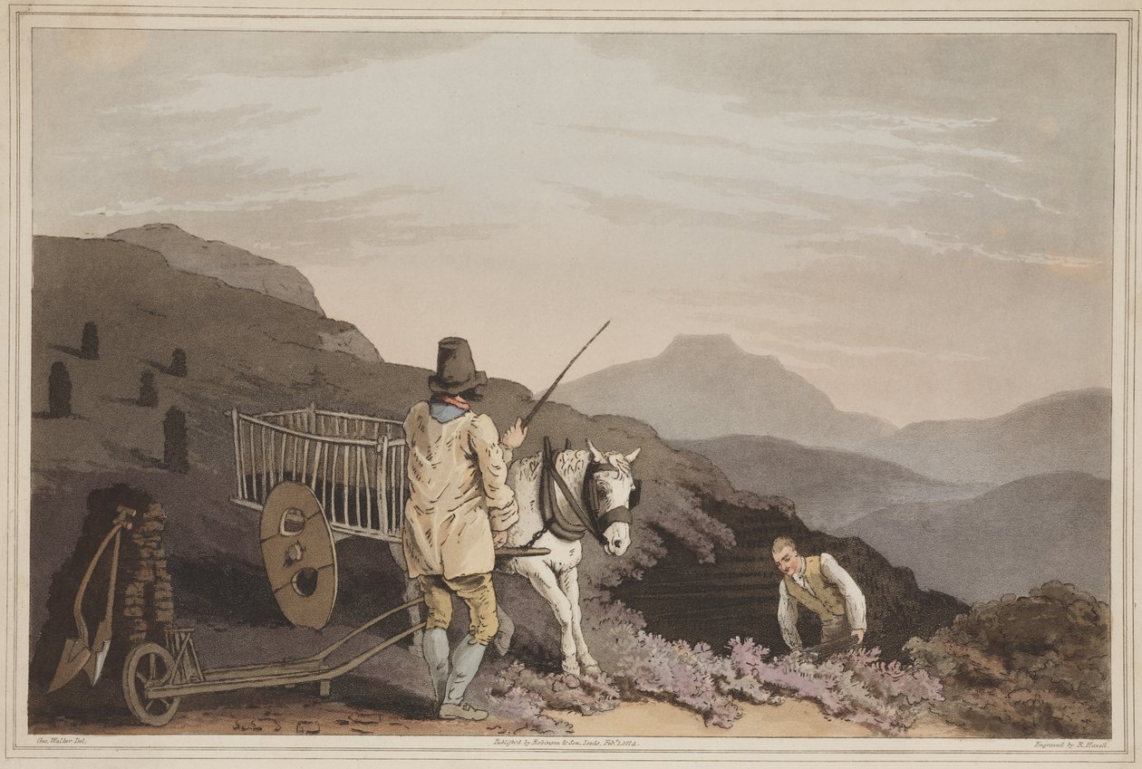 A Peat Cart a Yorkshire-i jelmezből, Robert Havell metszet, 1814 (kézzel színezett akvatinta) alkotó: George after Walker