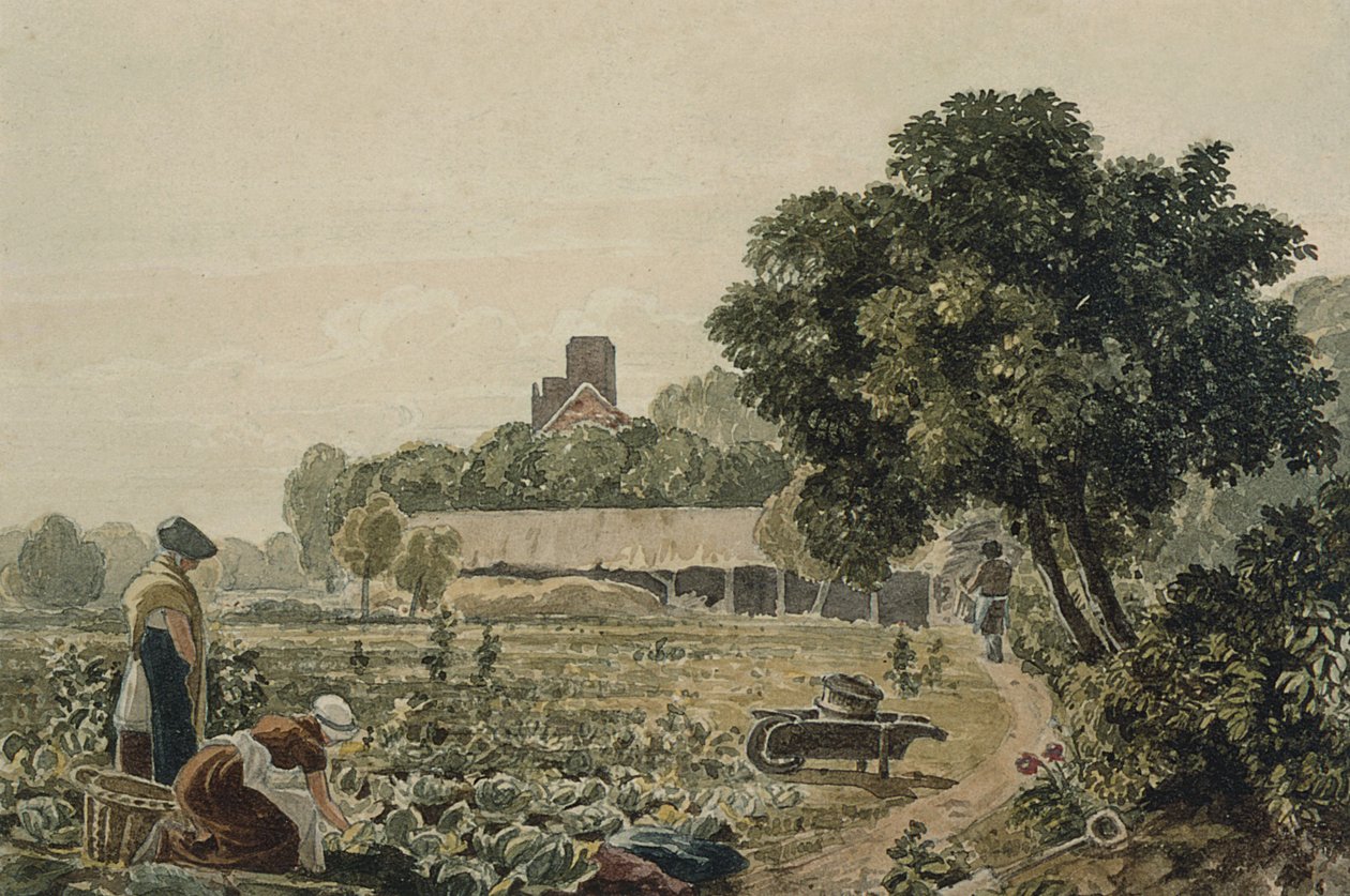 Market Garden a Chelsea-ben alkotó: George the Younger Barret
