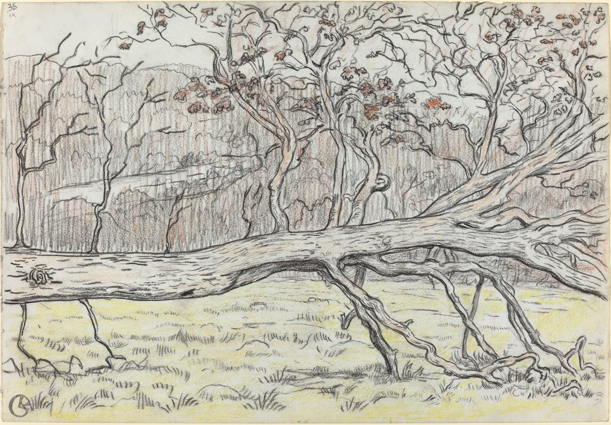 Kivágott fa, Normandia alkotó: Georges Lacombe