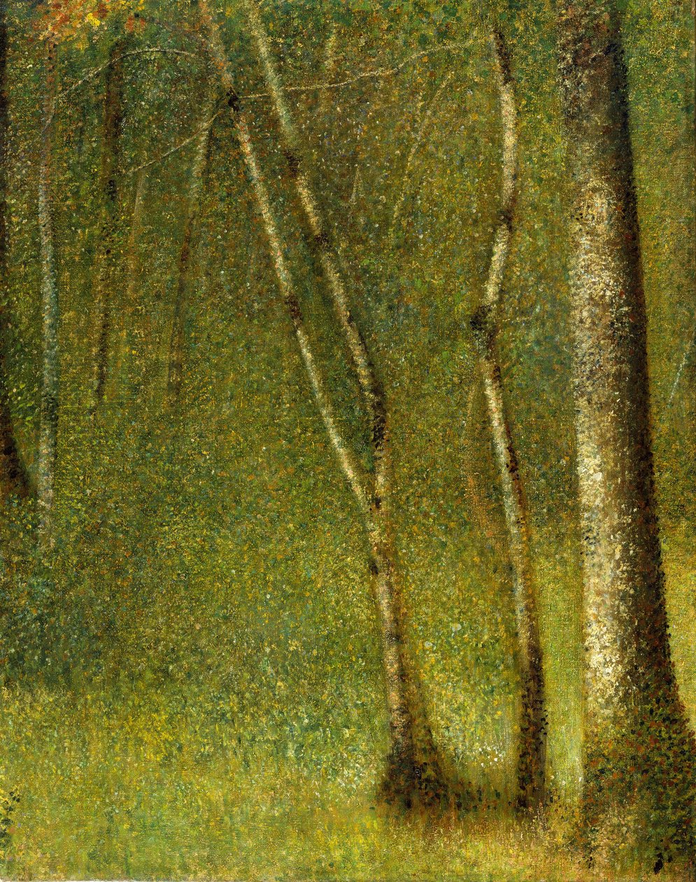 A pontaubert-i erdő, 1881. alkotó: Georges Pierre Seurat