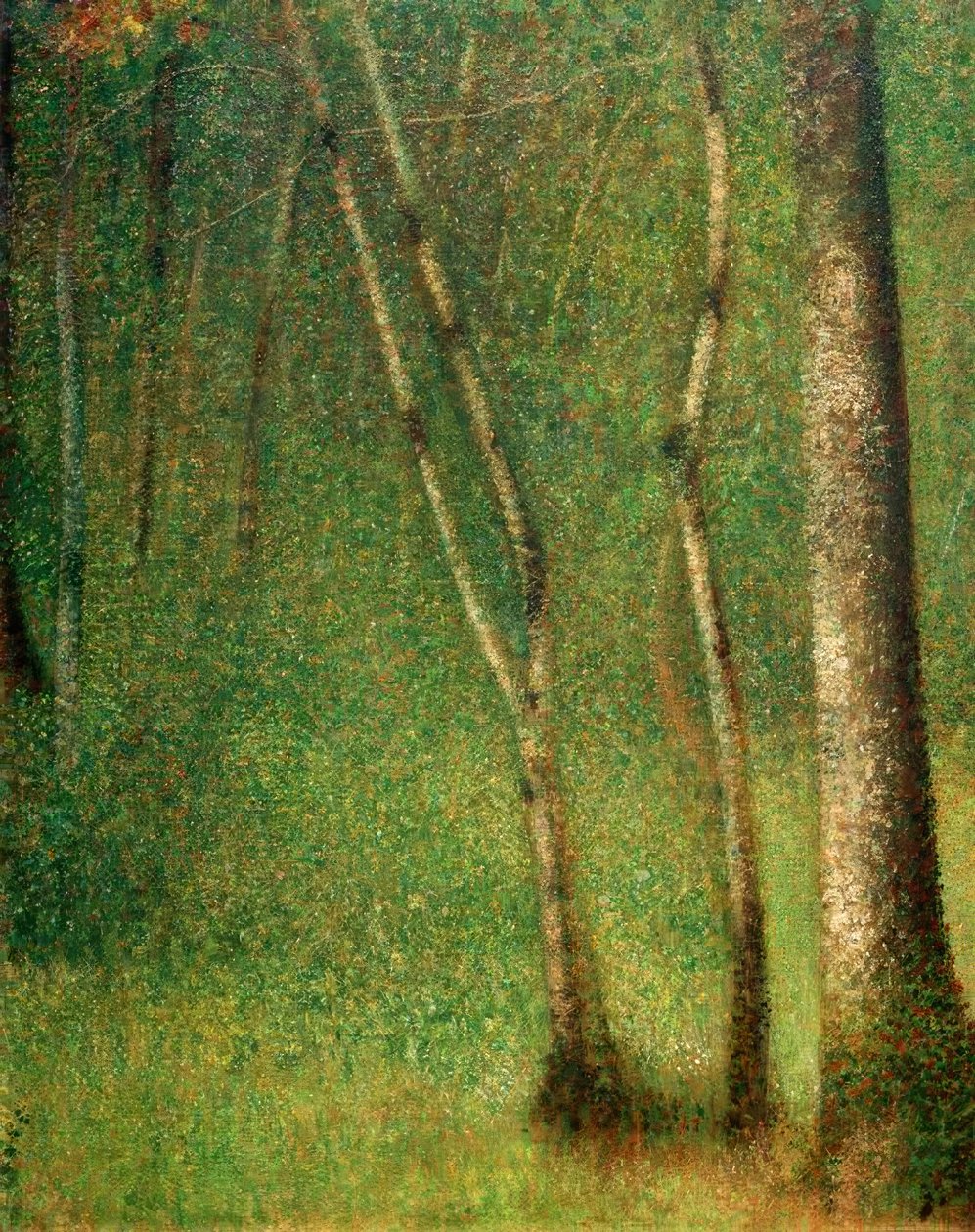 Aljnövényzet Pontaubertben (Wald in Pontaubert) alkotó: Georges Seurat