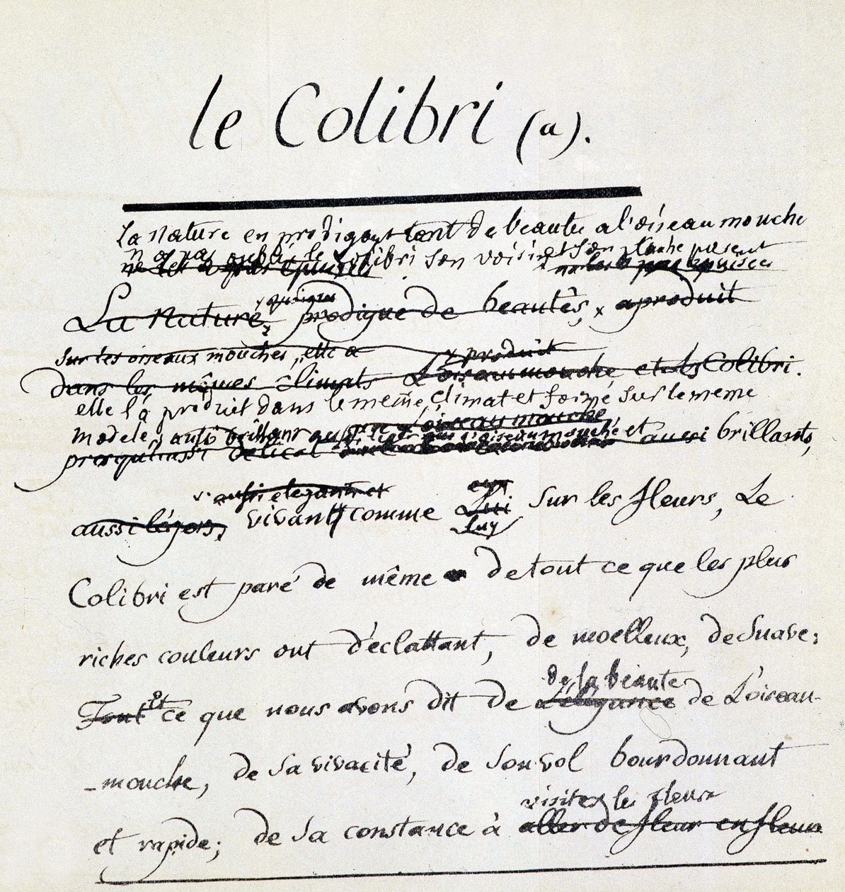 Buffon kézirat a kolibriról. SD. 18. század alkotó: Georges de Buffon
