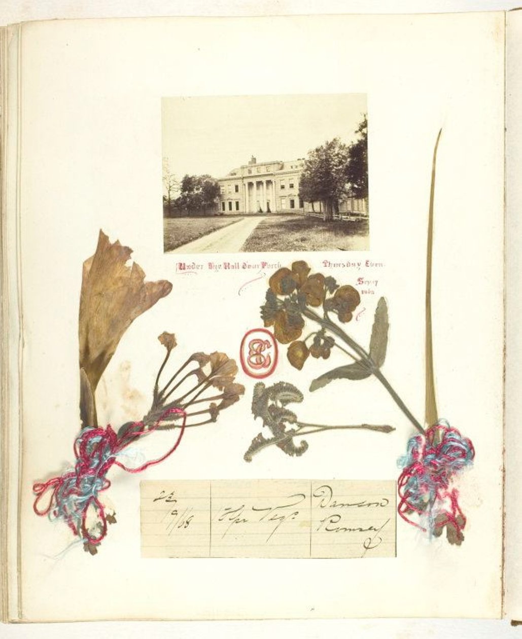 Névtelen alkotó: Georgina Cowper
