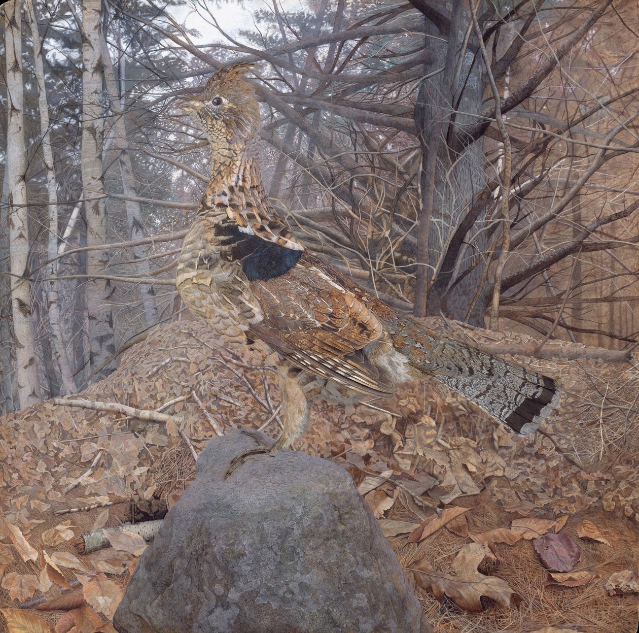 Hím fajdfajd az erdőben, 1907-08 alkotó: Gerald Thayer