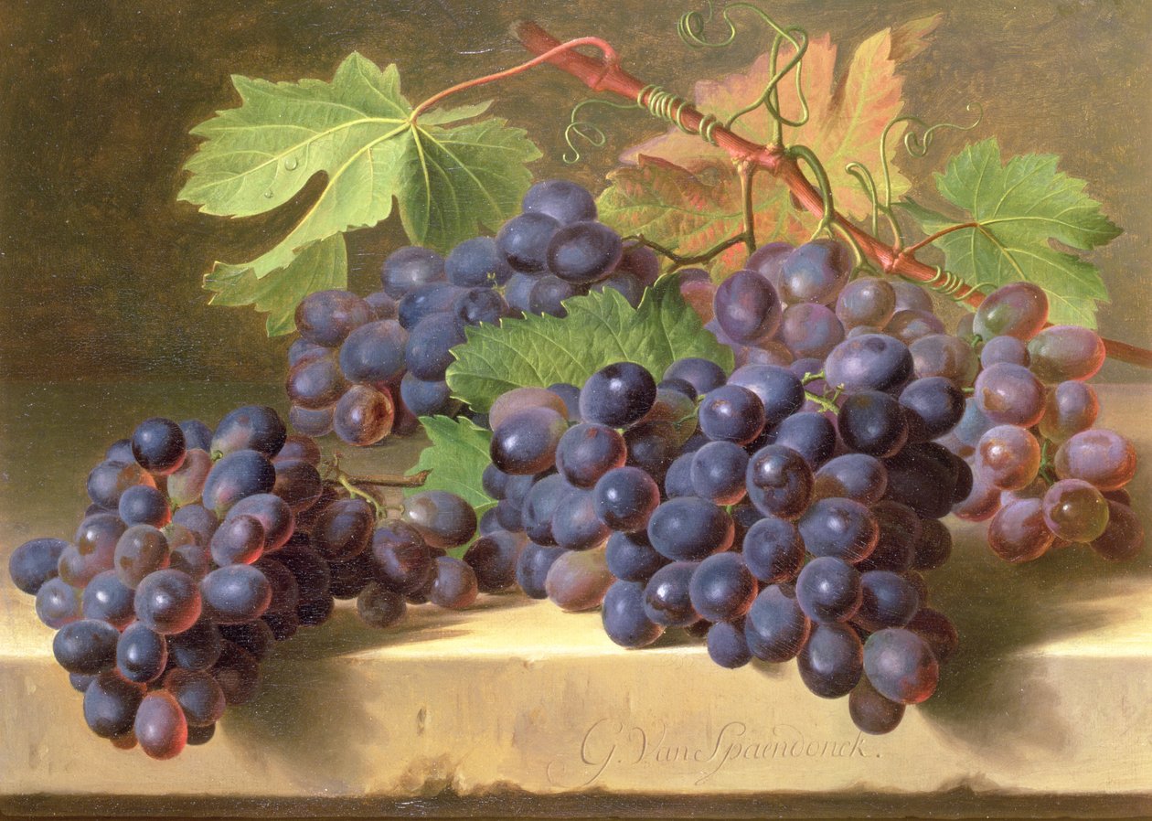 Márványpárkányon pihenő szőlőcsendélet alkotó: Gerard van Spaendonck