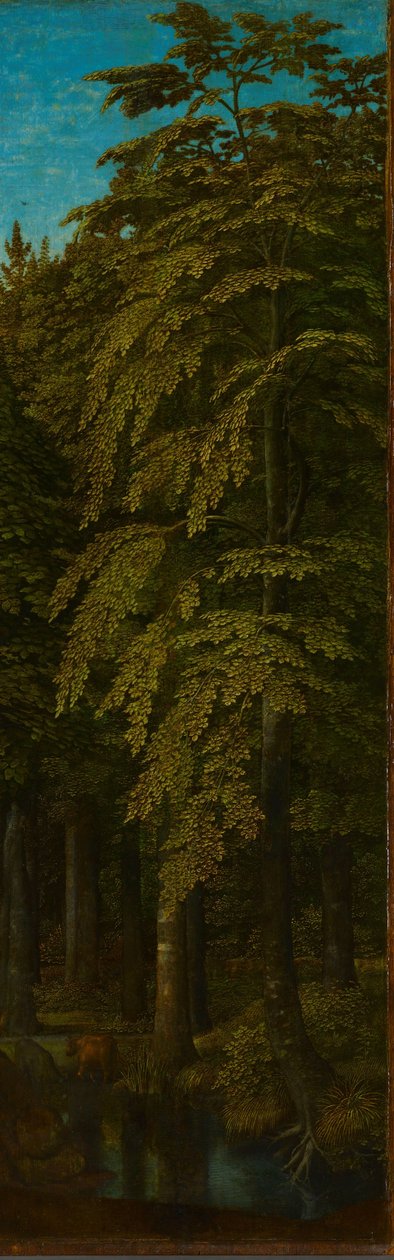 Kilátás az erdőben, egy triptichon jobb külső szárnya, 1505-1515 körül alkotó: Gerard David