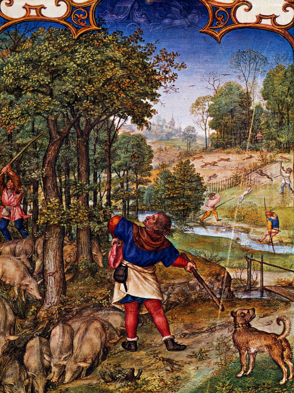 November hónap, Makkgyűjtés és nyúlvadászat, miniatűr a Grimani breviáriumból, Gerard Horenbout (kb. 1465-1541 előtt), Alexander és Simon Bening (1483-1561) miniatúrájával, tőkehal Lat I, 99 f 11v, Hollandia alkotó: Gerard Horenbout
