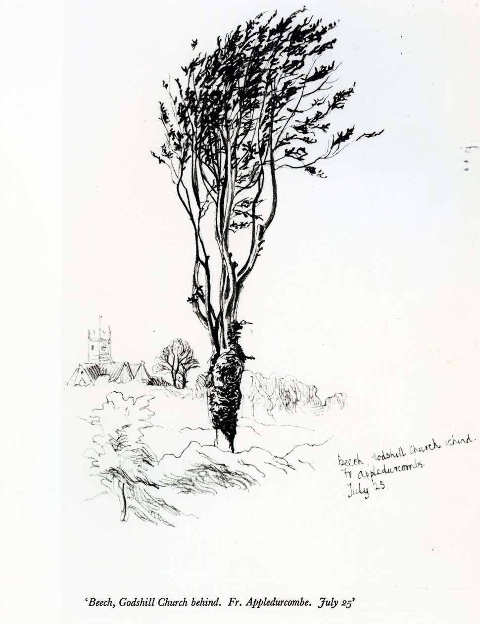Bükk, mögötte Godshill templom. Fr. Appledurcombe. 1860-as évek július 25 alkotó: Gerard Manley Hopkins