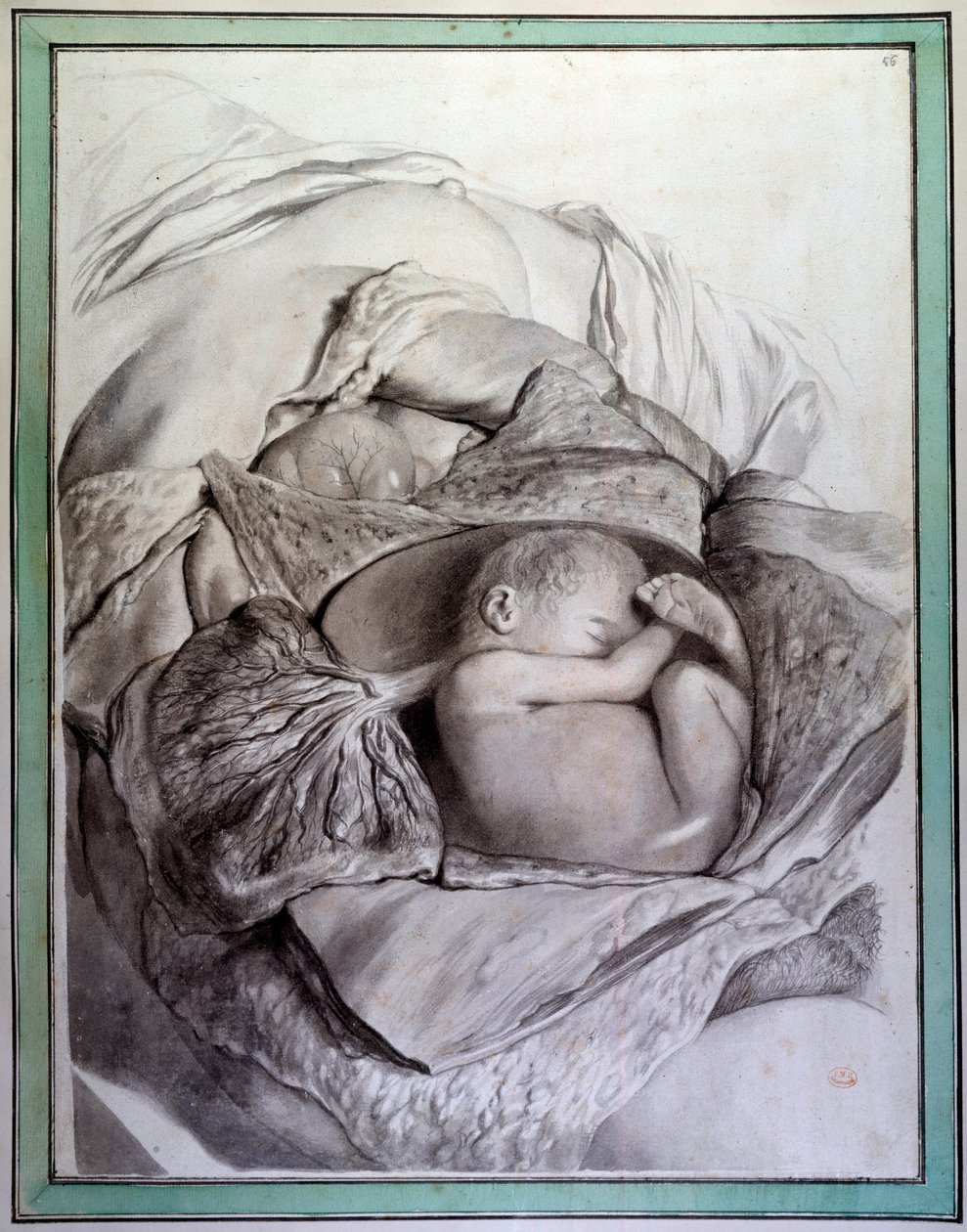 Emberi lény magzatának ábrázolása a méhben Gerard de Lairesse (1640-1711) metszet, amely Govert Bidloo (vagy Govard) (1649-1713) „Anatomia Humani Corporis”-ját illusztrálja. A Párizsi Orvostudományi Kar 18. századi könyvtára alkotó: Gerard de Lairesse