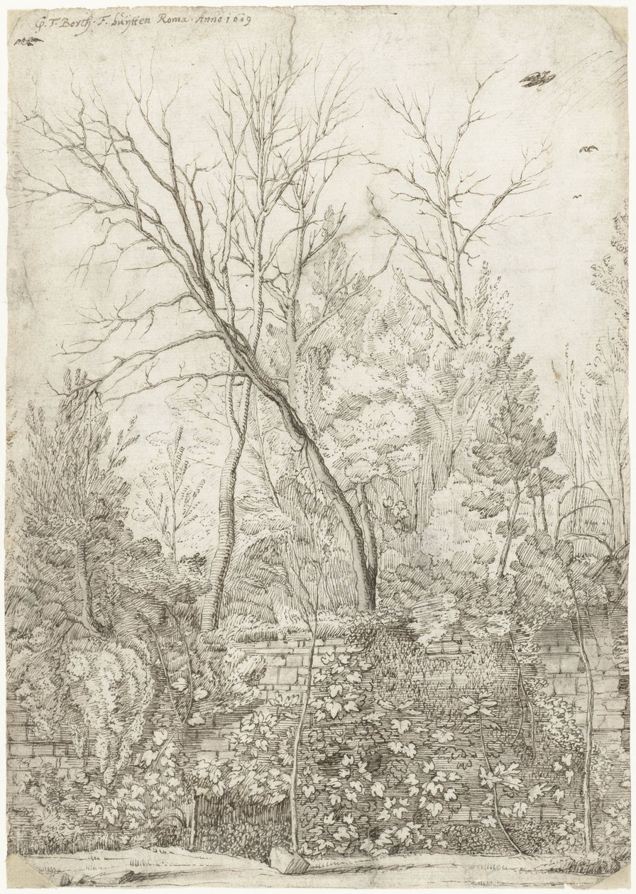 A Villa Madama kertje, Rómán kívül alkotó: Gerard ter Borch