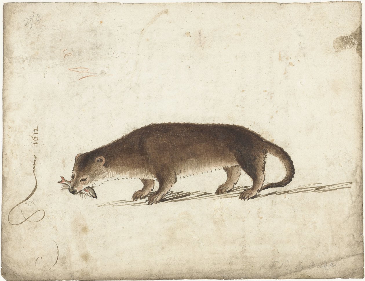 Vidra hallal a szájában alkotó: Gerard ter Borch (I)