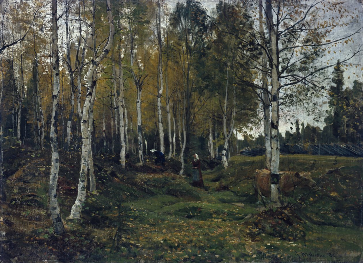 Nyírfa erdő ősszel alkotó: Gerhard Peter Frantz Vilhelm Munthe