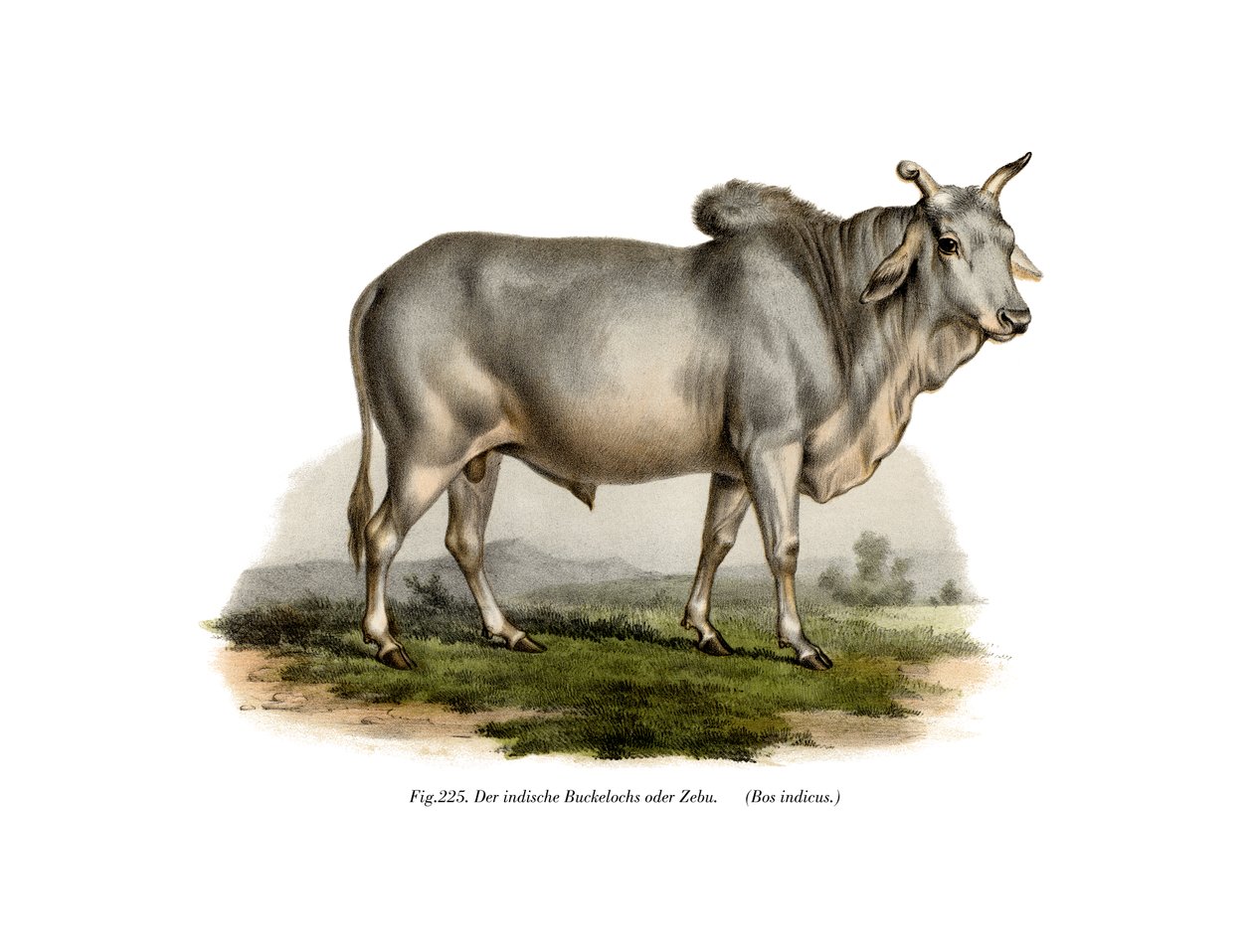 Mali lenyomja a Z-t, hogy pótolja a tehenet, 1860 alkotó: German School