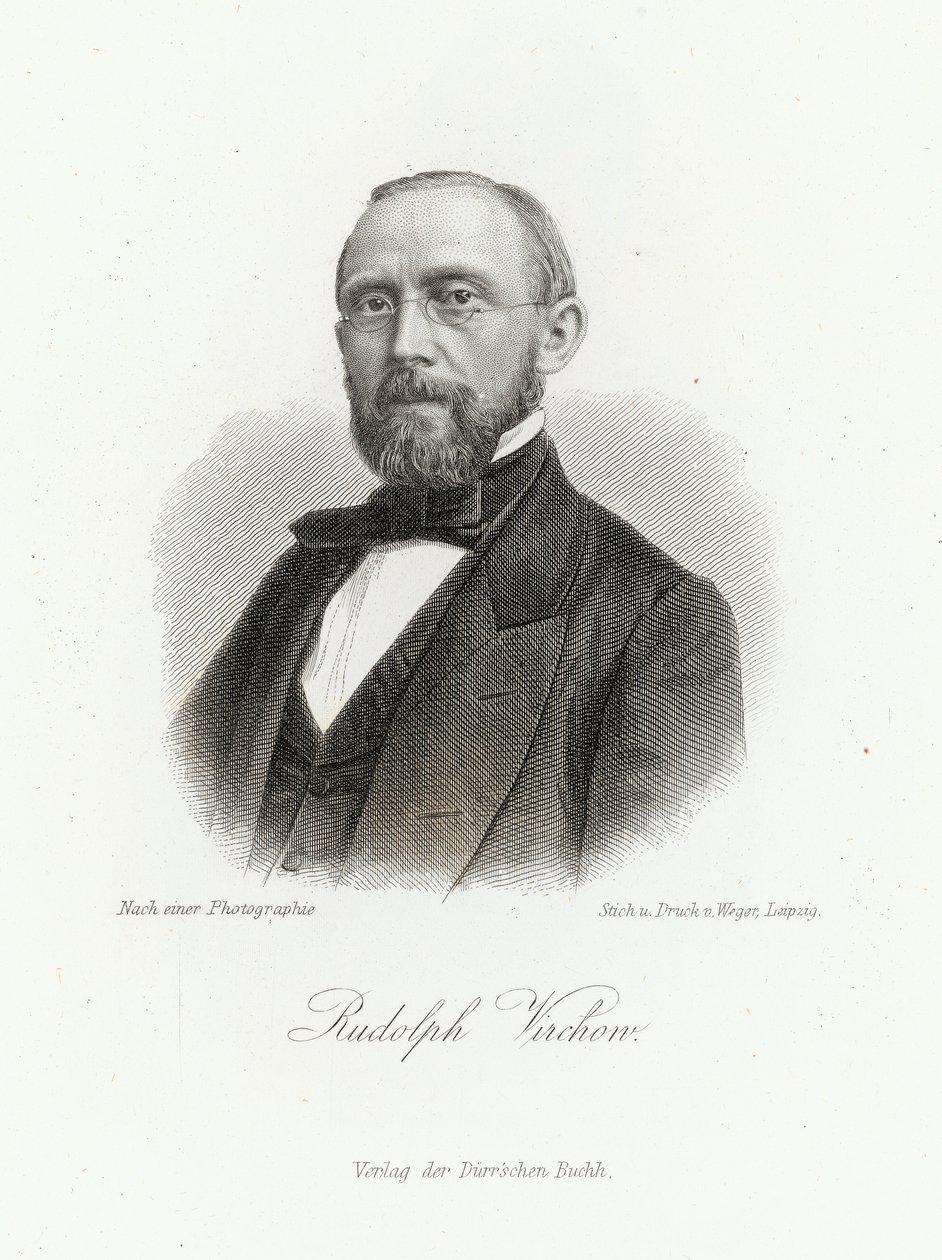 Rudolph Virchow (1821-1902) az Allgemeine Moden-Zeitungban, Lipcse, 1872 alkotó: German School