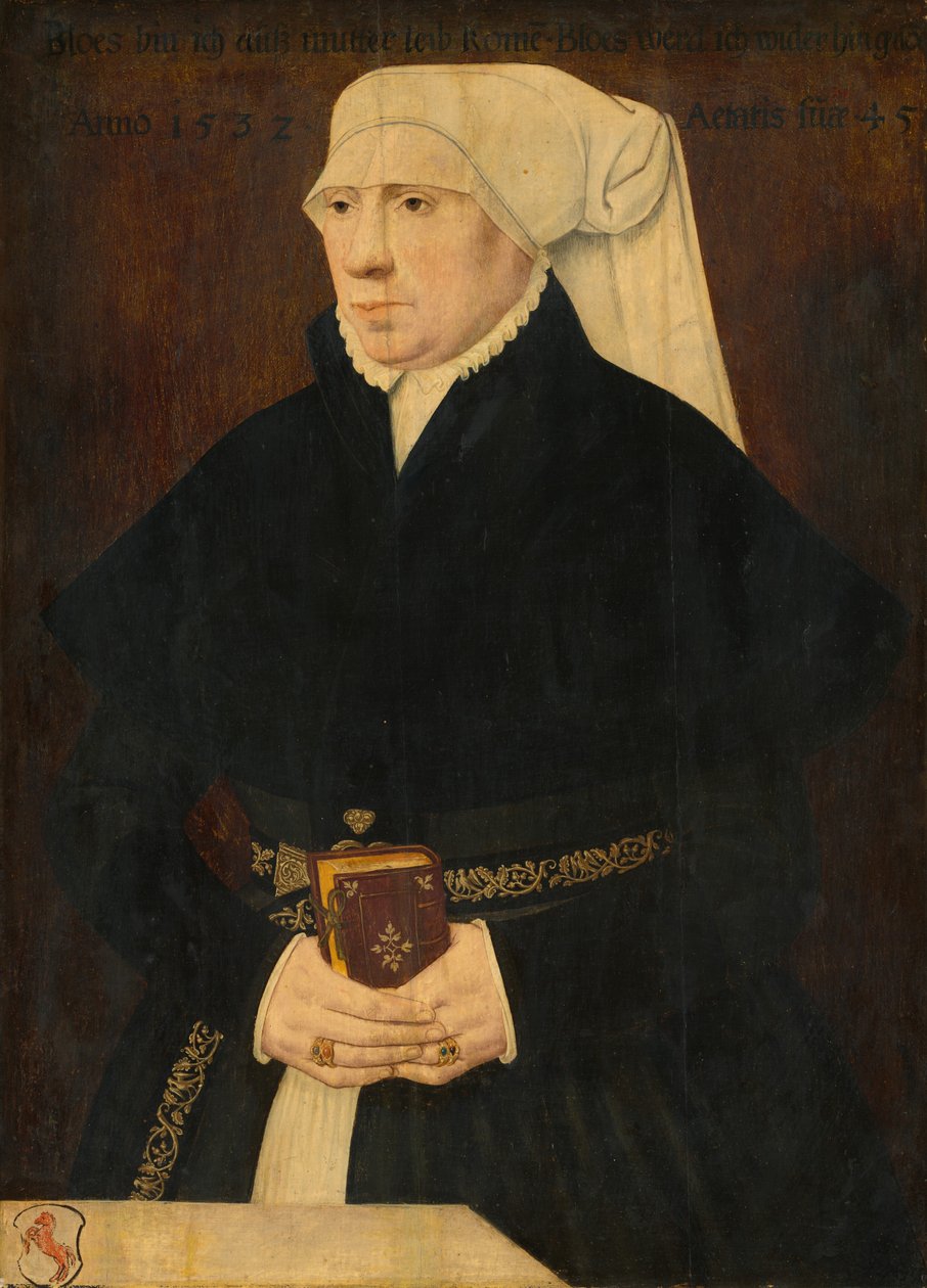 Egy hölgy portréja alkotó: German 16th Century