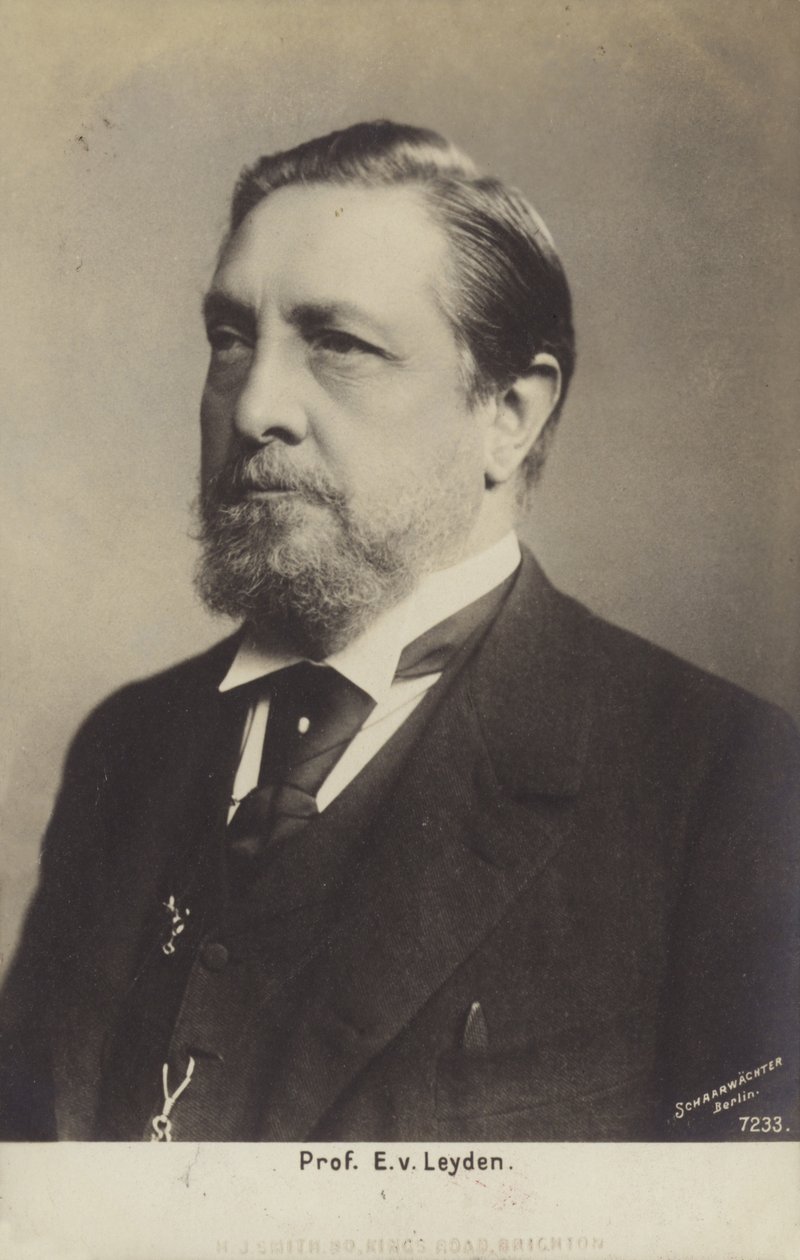Ernst Viktor von Leyden professzor (1832-1910), német orvos (fekete-fehér fotó) alkotó: German Photographer