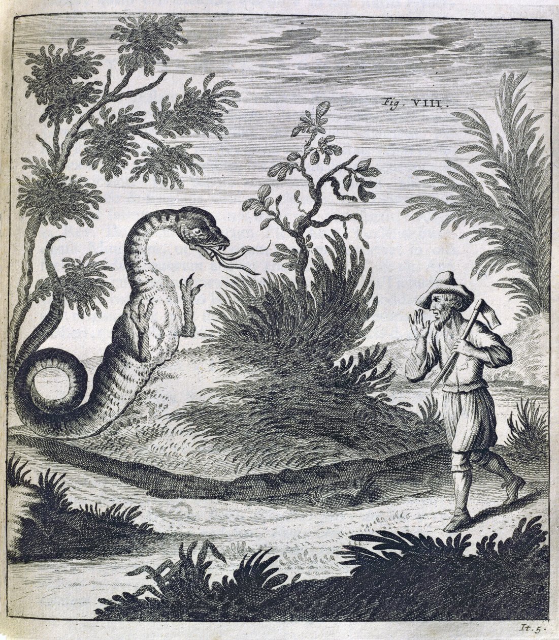 Egy félelmetes sárkány, 1660 körül alkotó: German School