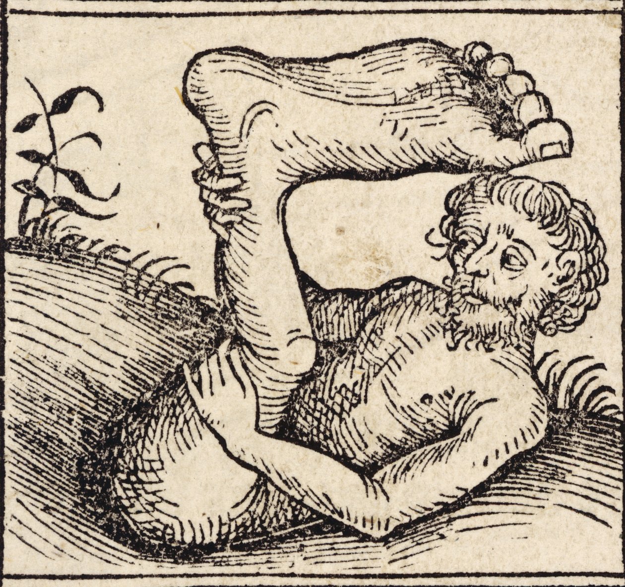 Egy sciopod, Férfi dagadt lábbal, a "Registrum Hujus Operis Libri Cronicarum cum Figuri et Imagibus ab Inicio Mundi"-ból, Hartmann Schedel (1440-1515) Nürnbergben jelent meg alkotó: German School