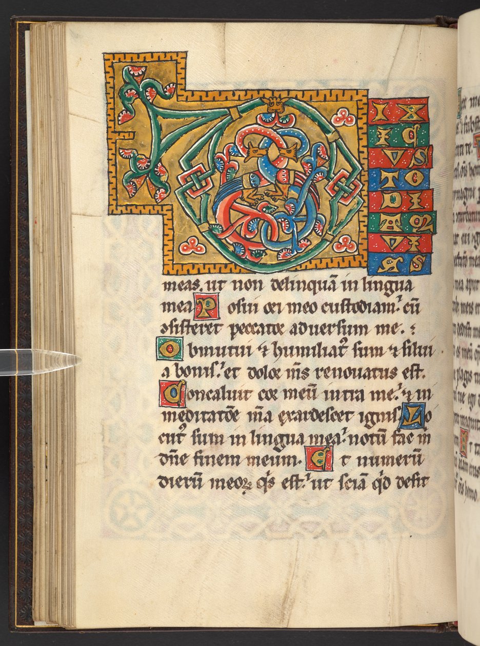 Hozzáadás. 60629, f.43v Arany és színek nagyméretű, keretes kezdőbetűi lombos, néha zoomorf és antropomorf díszítéssel (vellum) alkotó: German School
