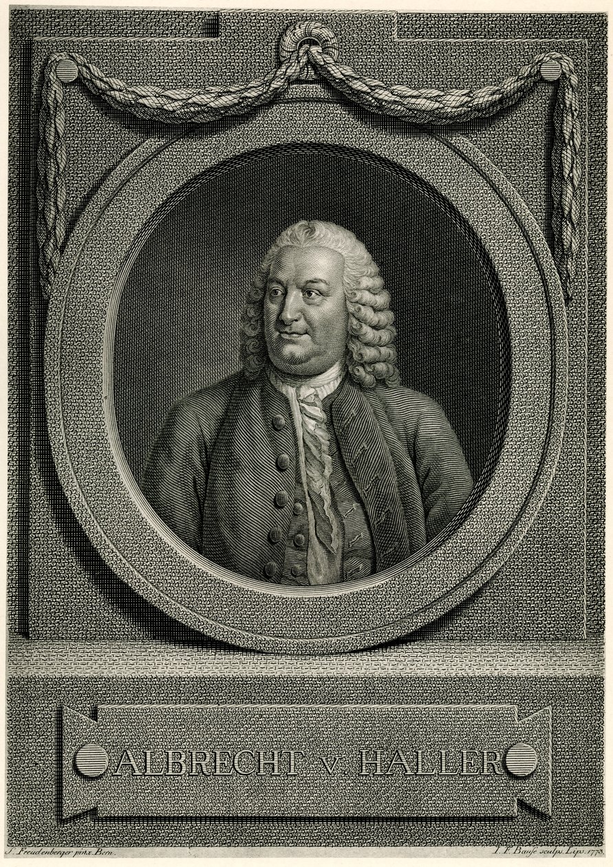 Albert von Haller alkotó: German School