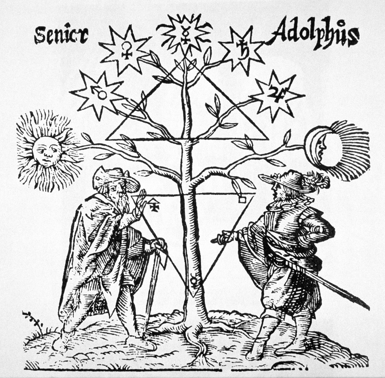 Alchemical Tree, Diagrammatic and Emblematic, Thomas Norton Hermeticum Múzeumából (1749), a 19. század végén megjelent mágiatörténetben illusztrálva alkotó: German School