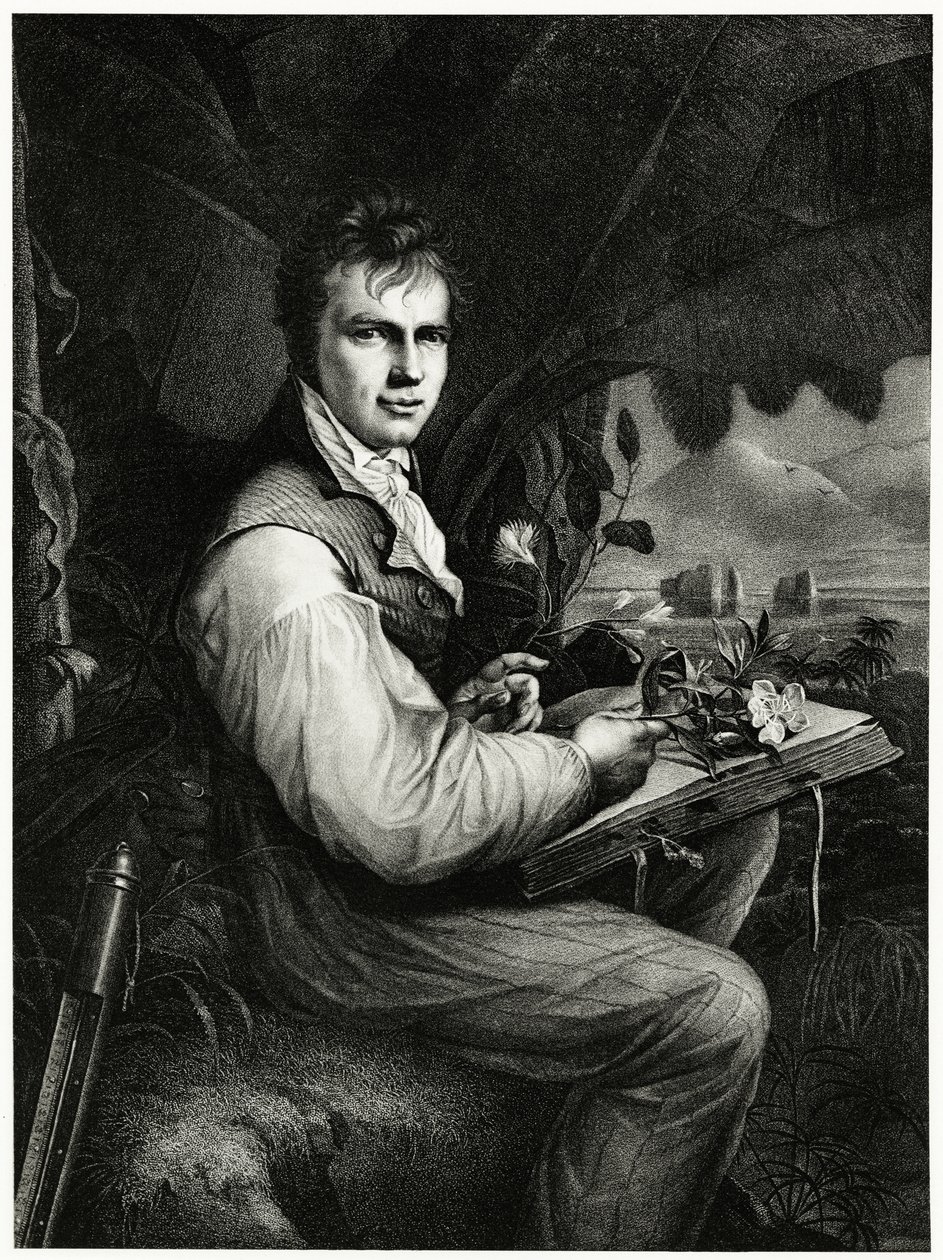 Alexander von Humboldt alkotó: German School