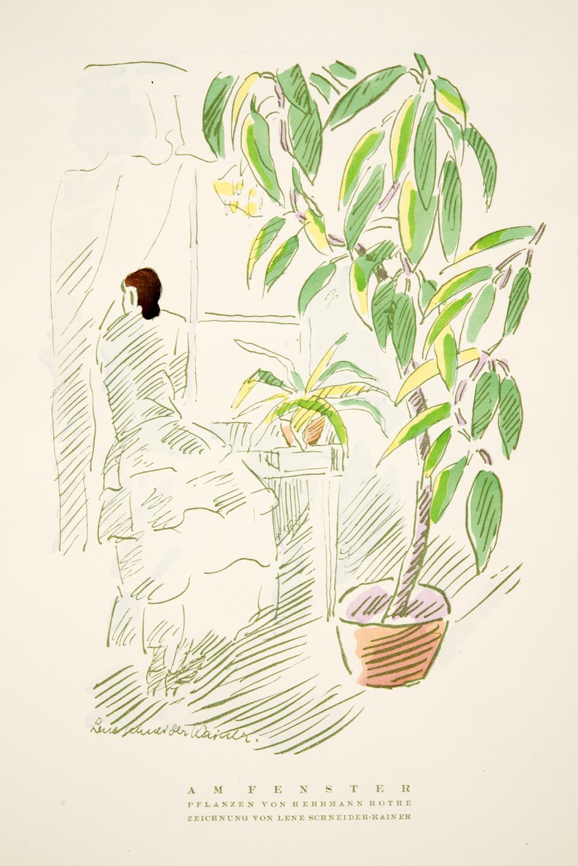 Am Fenster, Hermann Rothe növényei, Styl, pub. 1922 (pochoir print) alkotó: German School